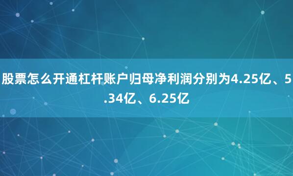 股票怎么开通杠杆账户归母净利润分别为4.25亿、5.34亿、6.25亿